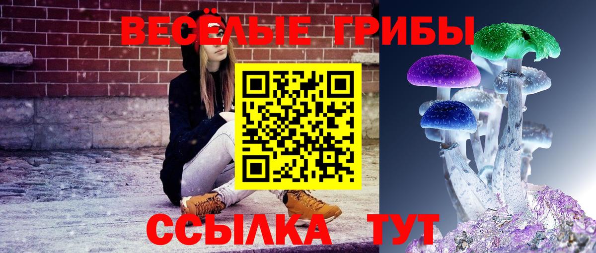 Новошахтинск  Псилоцибиновые грибы MAGIC MUSHROOMS  Вход с VPN 